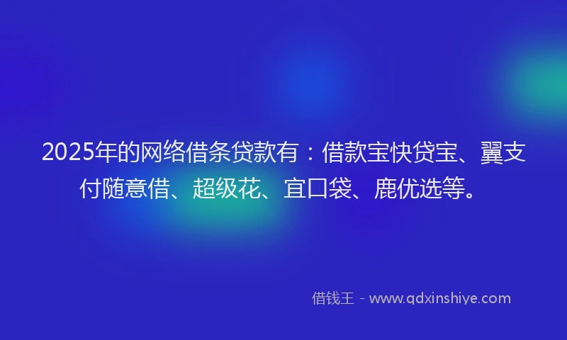 2025年的网络借条贷款有：借款宝快贷宝、翼支付随意借、超级花、宜口袋、鹿优选等。