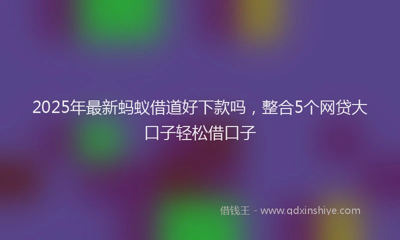 2025年最新蚂蚁借道好下款吗，整合5个网贷大口子轻松借口子