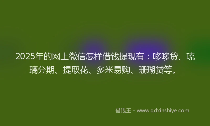 2025年的网上微信怎样借钱提现有：哆哆贷、琉璃分期、提取花、多米易购、珊瑚贷等。