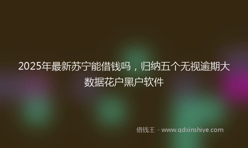 2025年最新苏宁能借钱吗，归纳五个无视逾期大数据花户黑户软件