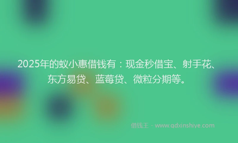 2025年的蚁小惠借钱有：现金秒借宝、射手花、东方易贷、蓝莓贷、微粒分期等。