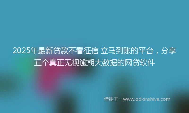 2025年最新贷款不看征信 立马到账的平台，分享五个真正无视逾期大数据的网贷软件