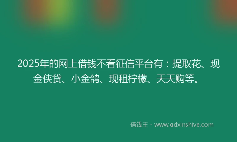 2025年的网上借钱不看征信平台有：提取花、现金侠贷、小金鸽、现租柠檬、天天购等。