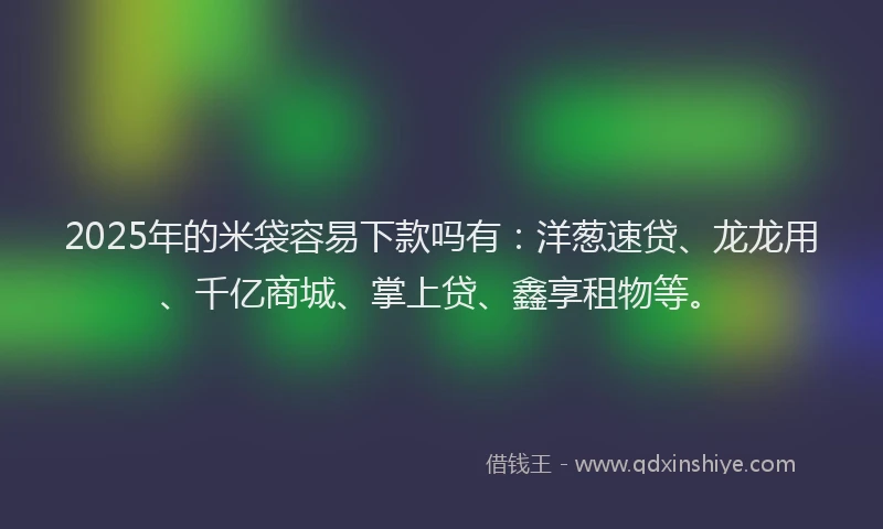 2025年的米袋容易下款吗有：洋葱速贷、龙龙用、千亿商城、掌上贷、鑫享租物等。