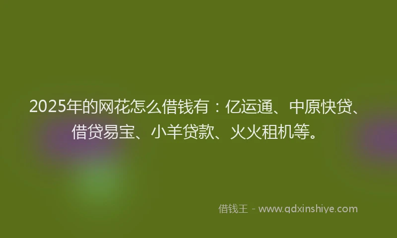2025年的网花怎么借钱有：亿运通、中原快贷、借贷易宝、小羊贷款、火火租机等。