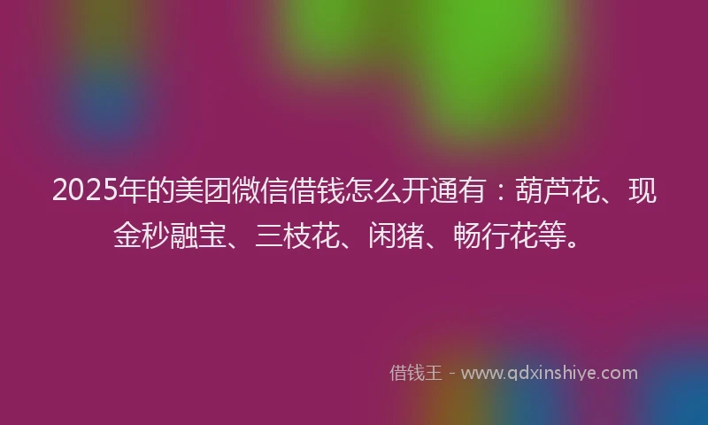 2025年的美团微信借钱怎么开通有：葫芦花、现金秒融宝、三枝花、闲猪、畅行花等。