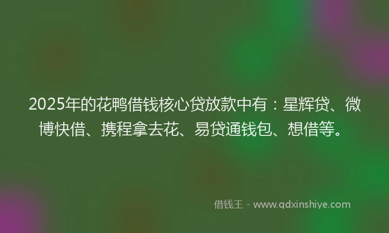 2025年的花鸭借钱核心贷放款中有：星辉贷、微博快借、携程拿去花、易贷通钱包、想借等。