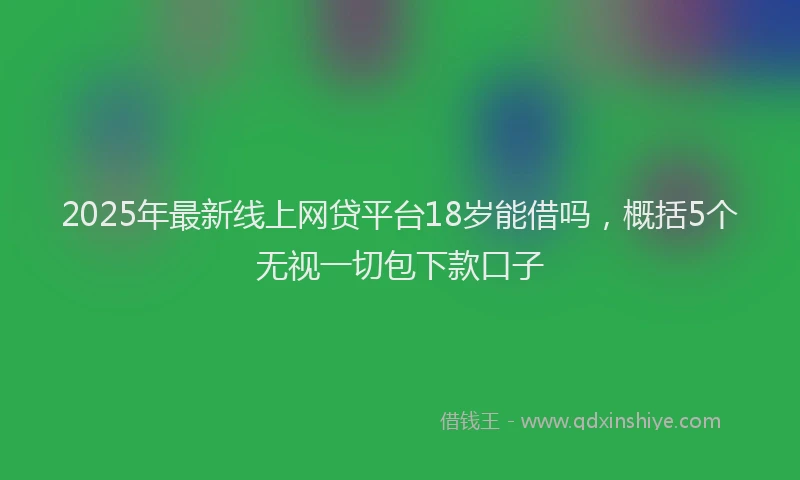 2025年最新线上网贷平台18岁能借吗，概括5个无视一切包下款口子