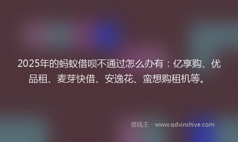 2025年的蚂蚁借呗不通过怎么办有：亿享购、优品租、麦芽快借、安逸花、蛮想购租机等。