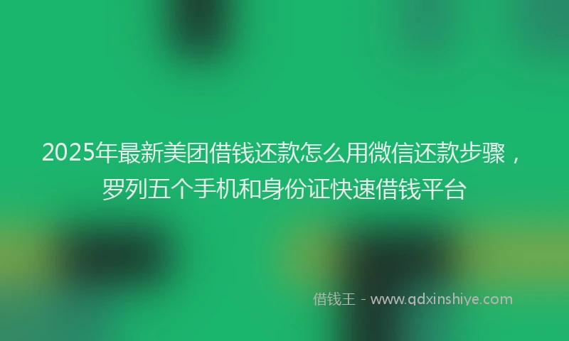 2025年最新美团借钱还款怎么用微信还款步骤，罗列五个手机和身份证快速借钱平台