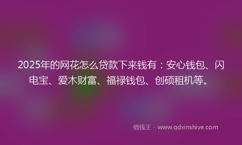 2025年的网花怎么贷款下来钱有：安心钱包、闪电宝、爱木财富、福禄钱包、创硕租机等。