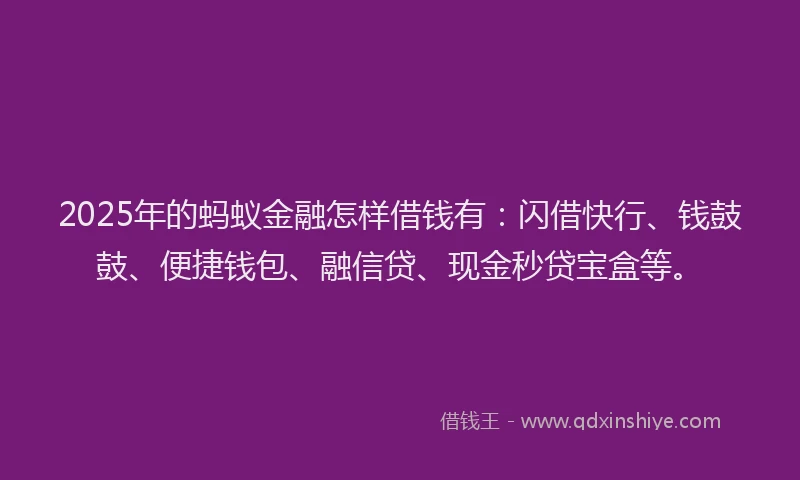 2025年的蚂蚁金融怎样借钱有：闪借快行、钱鼓鼓、便捷钱包、融信贷、现金秒贷宝盒等。