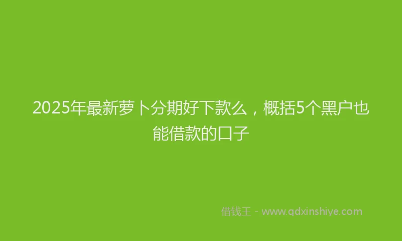 2025年最新萝卜分期好下款么，概括5个黑户也能借款的口子