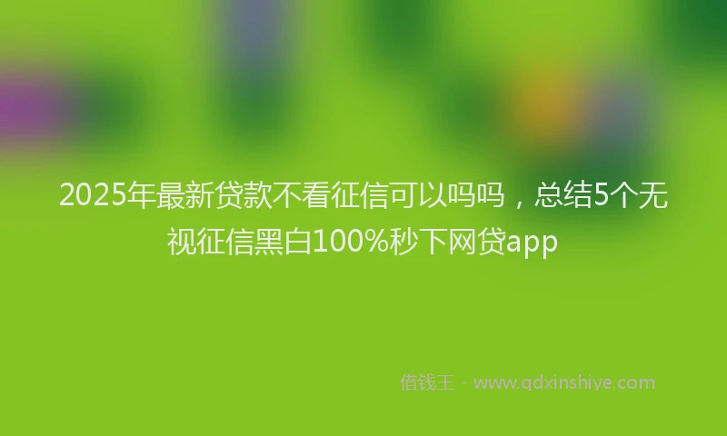 2025年最新贷款不看征信可以吗吗，总结5个无视征信黑白100%秒下网贷app