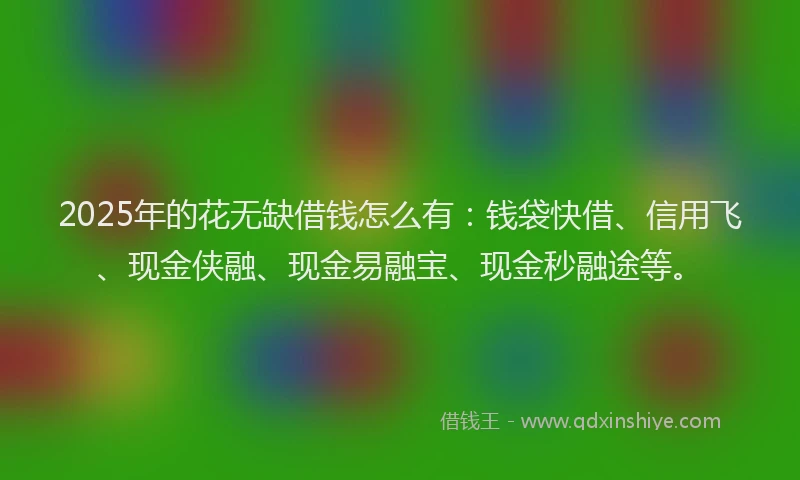 2025年的花无缺借钱怎么有：钱袋快借、信用飞、现金侠融、现金易融宝、现金秒融途等。