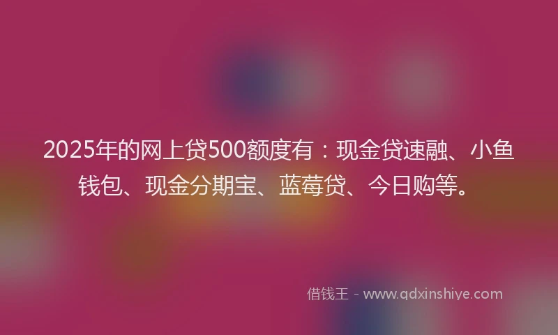 2025年的网上贷500额度有：现金贷速融、小鱼钱包、现金分期宝、蓝莓贷、今日购等。