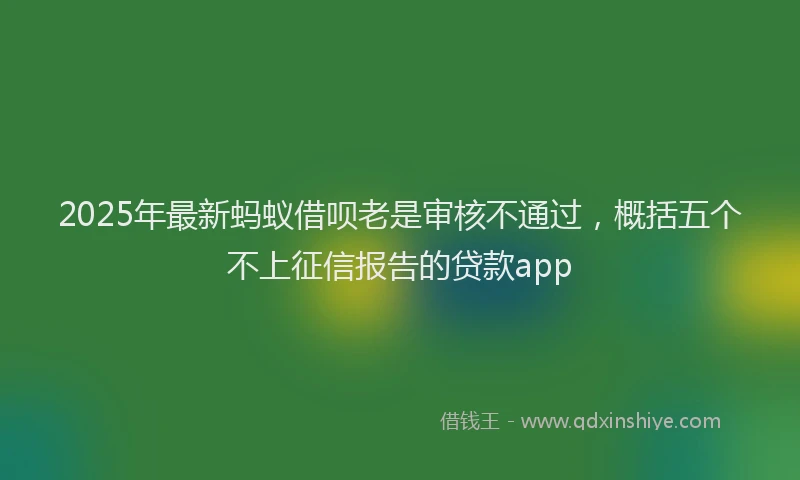 2025年最新蚂蚁借呗老是审核不通过，概括五个不上征信报告的贷款app
