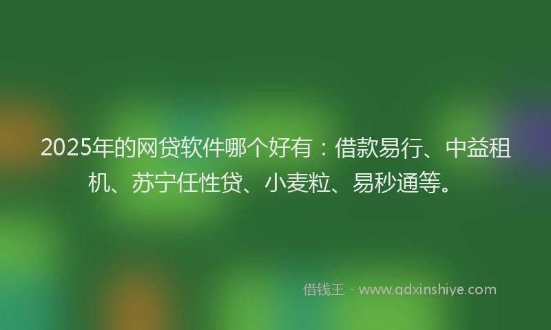 2025年的网贷软件哪个好有：借款易行、中益租机、苏宁任性贷、小麦粒、易秒通等。