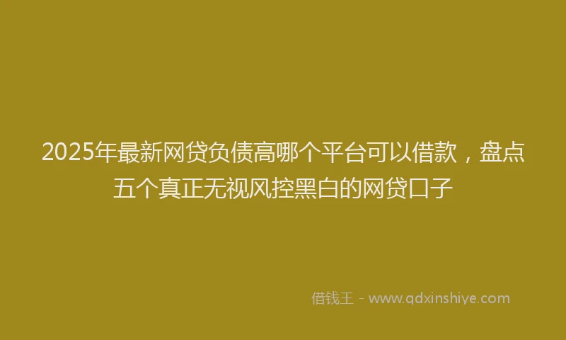 2025年最新网贷负债高哪个平台可以借款，盘点五个真正无视风控黑白的网贷口子