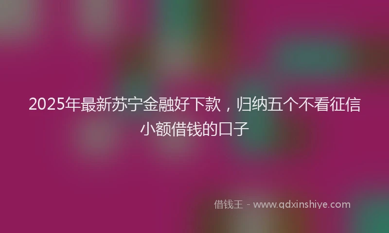 2025年最新苏宁金融好下款，归纳五个不看征信小额借钱的口子