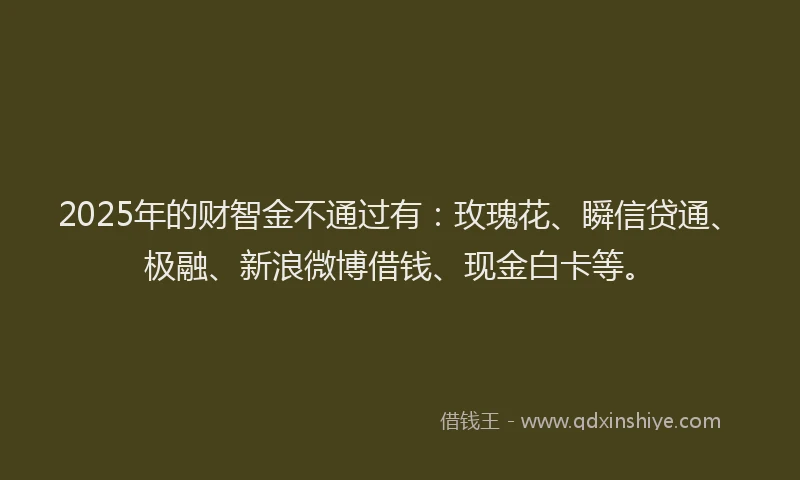 2025年的财智金不通过有：玫瑰花、瞬信贷通、极融、新浪微博借钱、现金白卡等。