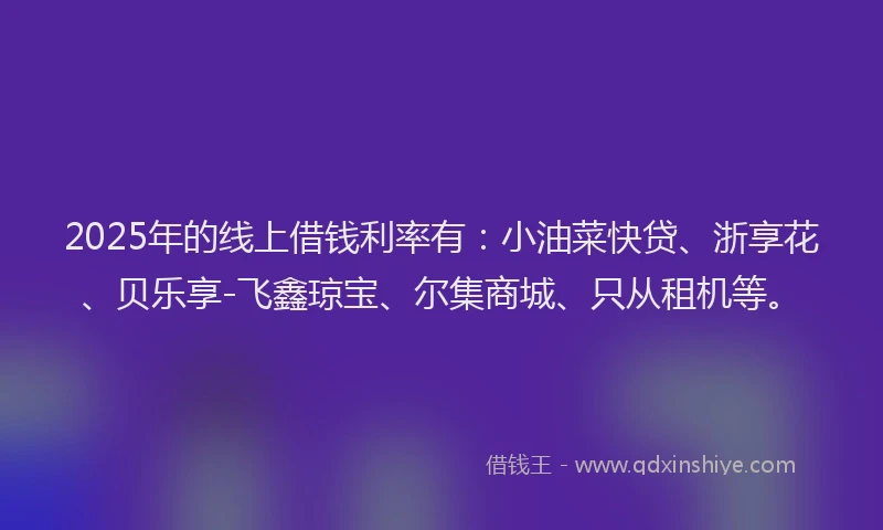 2025年的线上借钱利率有：小油菜快贷、浙享花、贝乐享-飞鑫琼宝、尔集商城、只从租机等。