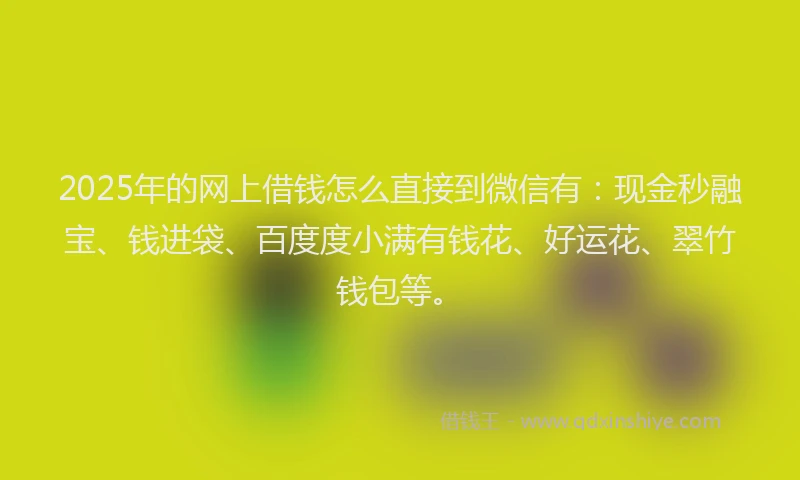 2025年的网上借钱怎么直接到微信有：现金秒融宝、钱进袋、百度度小满有钱花、好运花、翠竹钱包等。
