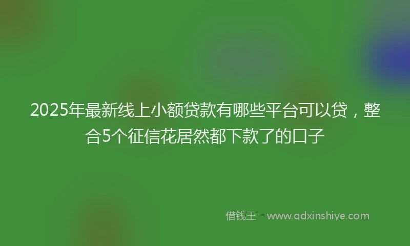 2025年最新线上小额贷款有哪些平台可以贷，整合5个征信花居然都下款了的口子