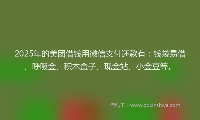 2025年的美团借钱用微信支付还款有：钱袋易借、呼吸金、积木盒子、现金站、小金豆等。