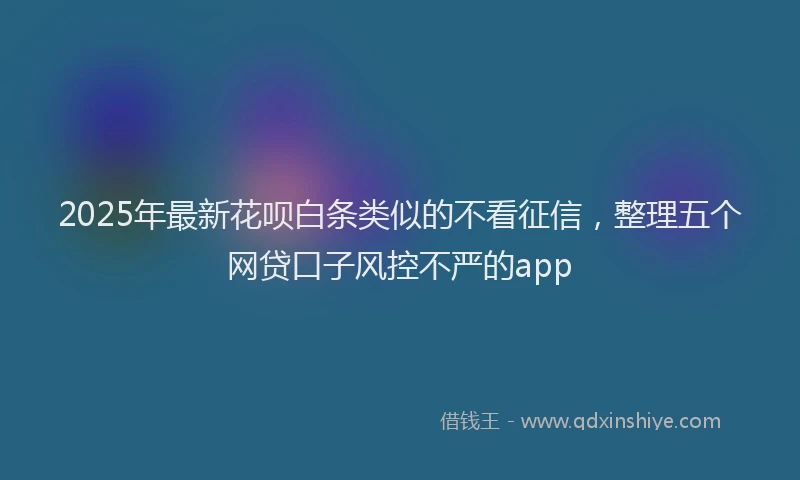 2025年最新花呗白条类似的不看征信，整理五个网贷口子风控不严的app