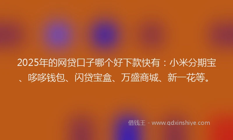 2025年的网贷口子哪个好下款快有：小米分期宝、哆哆钱包、闪贷宝盒、万盛商城、新一花等。