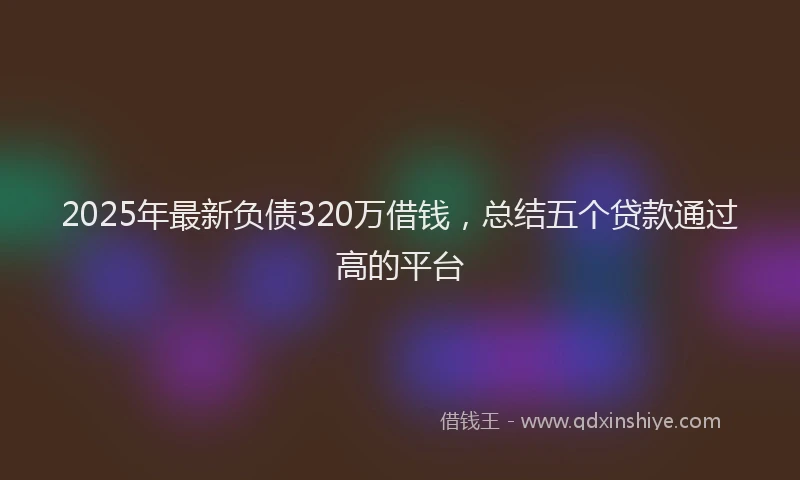 2025年最新负债320万借钱，总结五个贷款通过高的平台