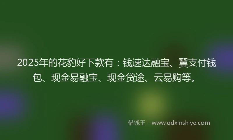 2025年的花豹好下款有：钱速达融宝、翼支付钱包、现金易融宝、现金贷途、云易购等。