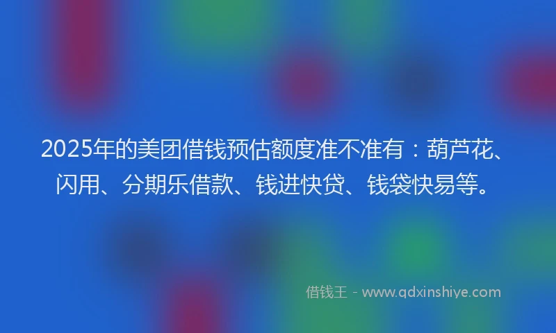 2025年的美团借钱预估额度准不准有：葫芦花、闪用、分期乐借款、钱进快贷、钱袋快易等。