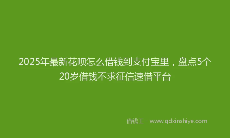 2025年最新花呗怎么借钱到支付宝里，盘点5个20岁借钱不求征信速借平台