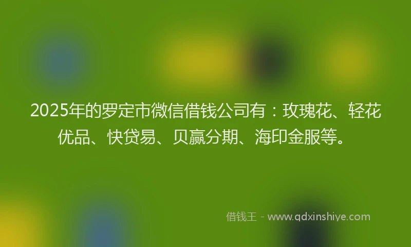 2025年的罗定市微信借钱公司有：玫瑰花、轻花优品、快贷易、贝赢分期、海印金服等。