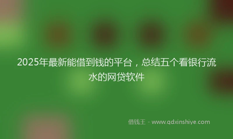 2025年最新能借到钱的平台，总结五个看银行流水的网贷软件