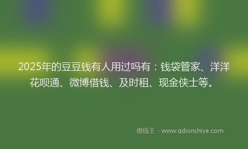 2025年的豆豆钱有人用过吗有：钱袋管家、洋洋花呗通、微博借钱、及时租、现金侠士等。
