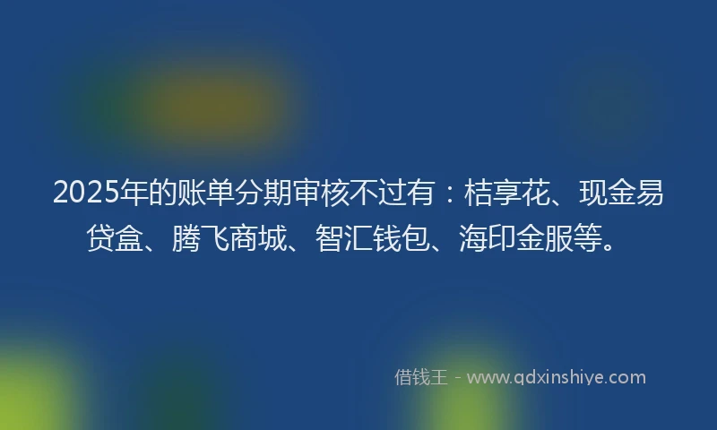 2025年的账单分期审核不过有：桔享花、现金易贷盒、腾飞商城、智汇钱包、海印金服等。