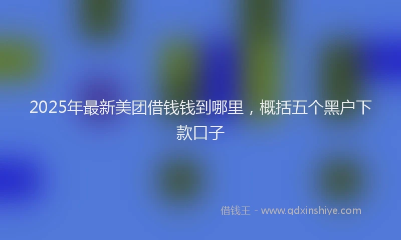 2025年最新美团借钱钱到哪里，概括五个黑户下款口子