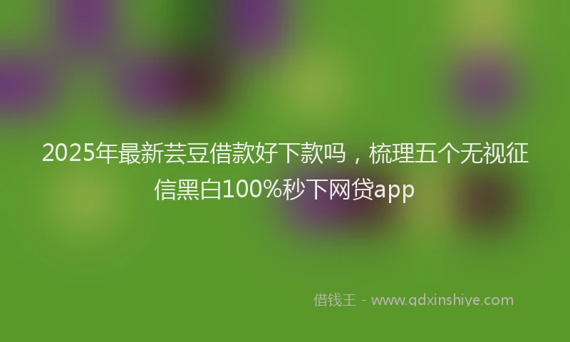 2025年最新芸豆借款好下款吗，梳理五个无视征信黑白100%秒下网贷app