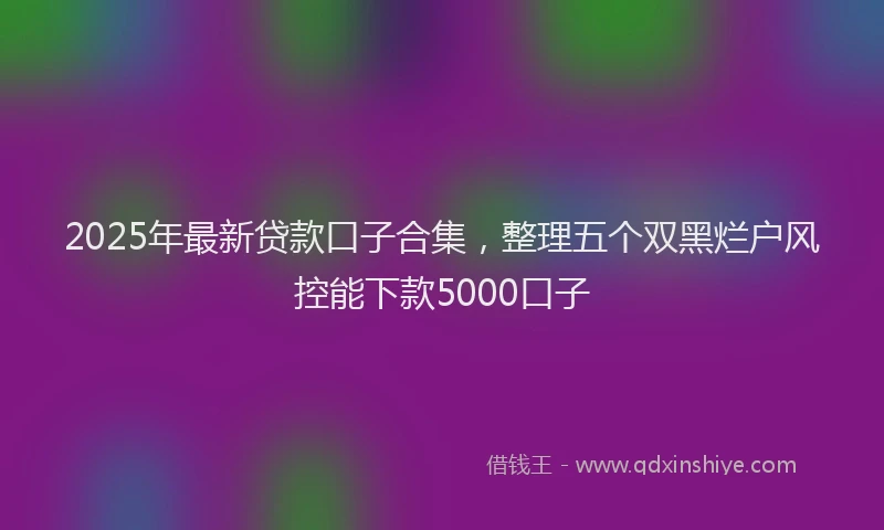 2025年最新贷款口子合集，整理五个双黑烂户风控能下款5000口子