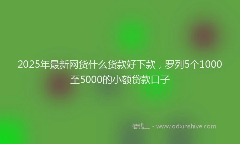 2025年最新网货什么货款好下款，罗列5个1000至5000的小额贷款口子