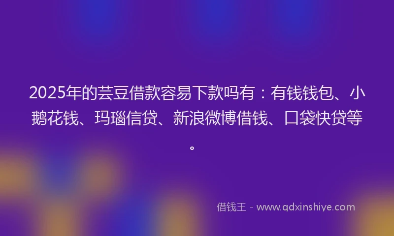 2025年的芸豆借款容易下款吗有：有钱钱包、小鹅花钱、玛瑙信贷、新浪微博借钱、口袋快贷等。