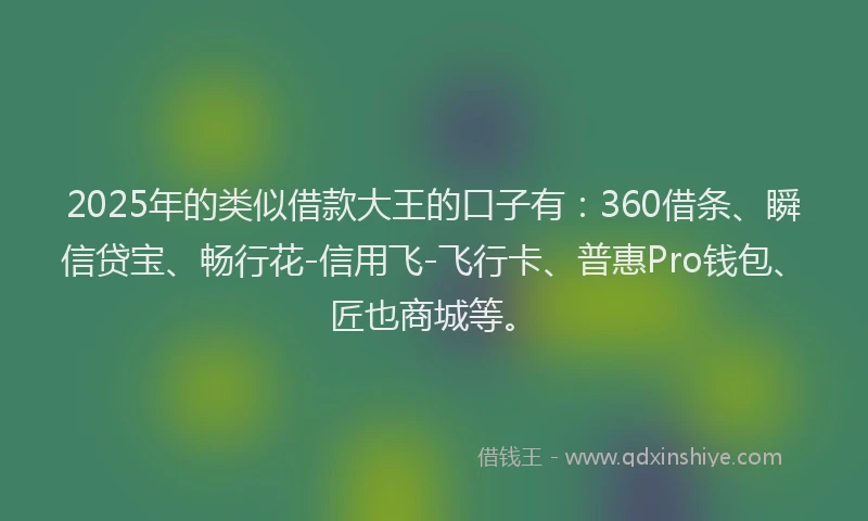 2025年的类似借款大王的口子有：360借条、瞬信贷宝、畅行花-信用飞-飞行卡、普惠Pro钱包、匠也商城等。