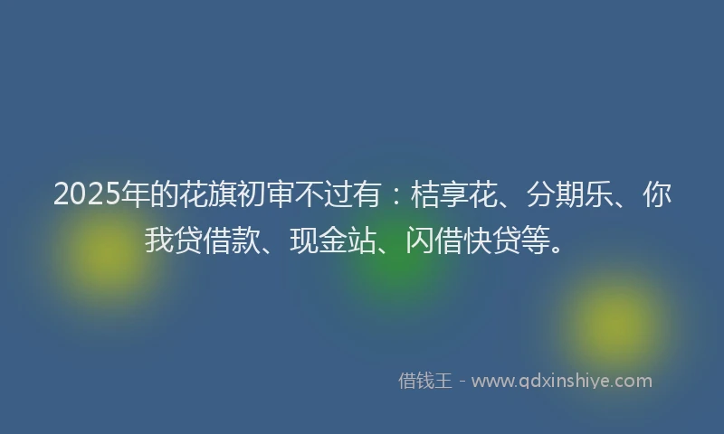 2025年的花旗初审不过有：桔享花、分期乐、你我贷借款、现金站、闪借快贷等。