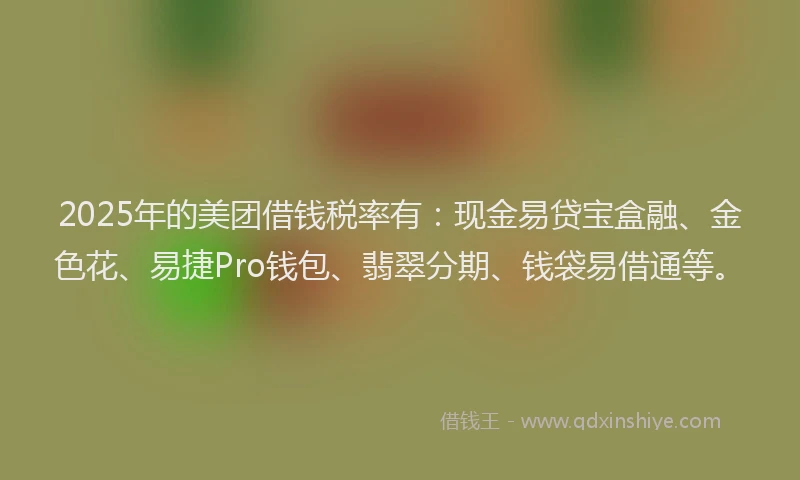 2025年的美团借钱税率有：现金易贷宝盒融、金色花、易捷Pro钱包、翡翠分期、钱袋易借通等。