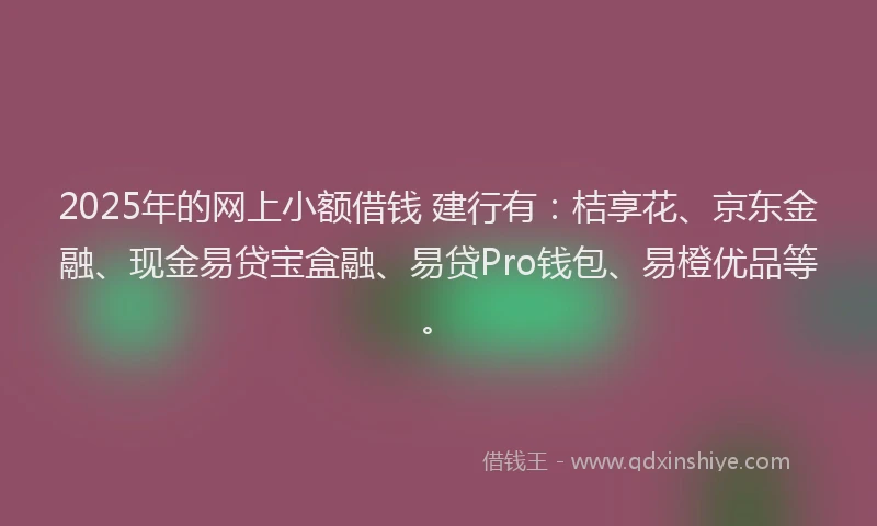 2025年的网上小额借钱 建行有：桔享花、京东金融、现金易贷宝盒融、易贷Pro钱包、易橙优品等。