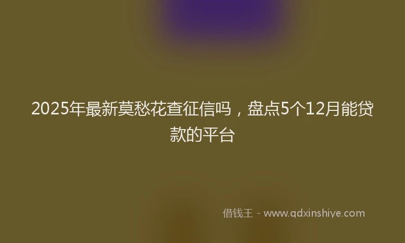 2025年最新莫愁花查征信吗，盘点5个12月能贷款的平台