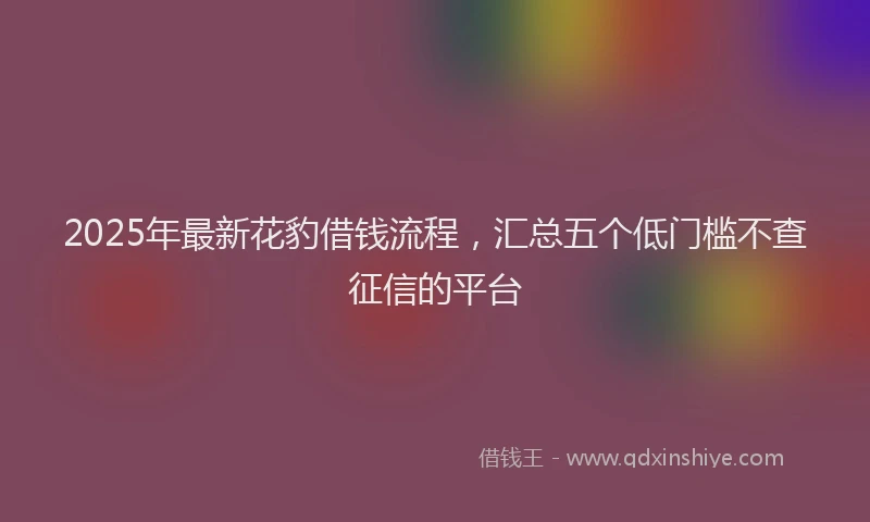 2025年最新花豹借钱流程，汇总五个低门槛不查征信的平台